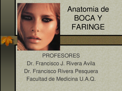 Anatomia-de-bocay-faringe.pdf