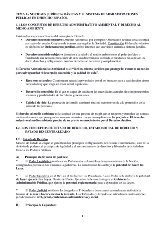 TEMA-1.pdf