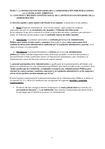 TEMA-7.pdf