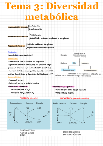 Microbiologia-T3.pdf