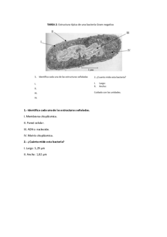 respuestas-tarea-2.pdf