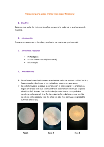 protocolo-ciclo-mentrual-femenino.pdf