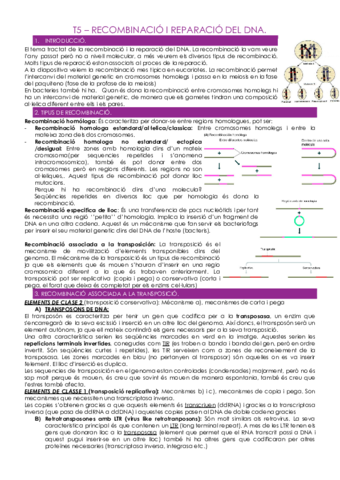 T5-RECOMBINACIO-I-REPARACIO-DEL-DNA.pdf