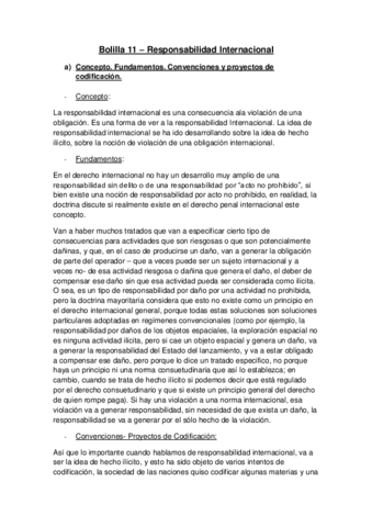 Bolilla-11-Responsabilidad-Internacional.pdf