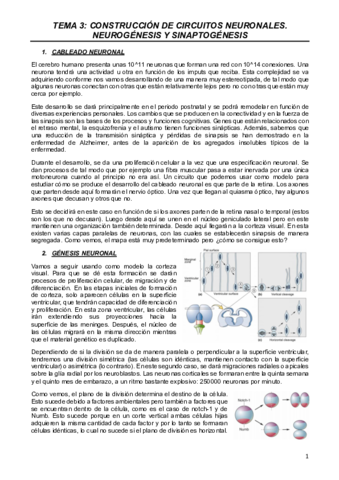 NEURO-T3.pdf