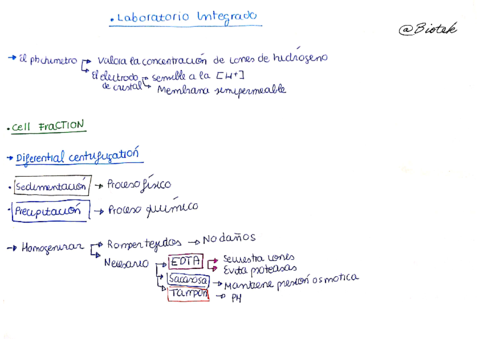 Laboratorio-integrado 1 ( Apuntes completos esquemáticos sencillos para estudiar).pdf