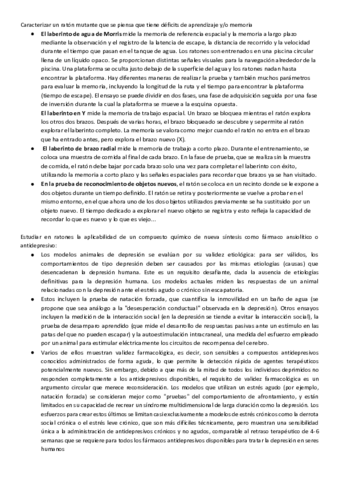 Seminario-2.pdf