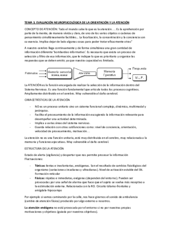 TEMA-3.pdf