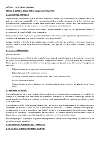 TEMA-6-ROMANO.pdf