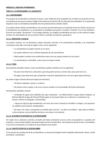 TEMA-11-ROMANO.pdf