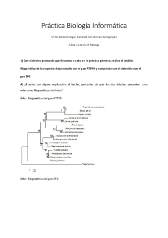 Bioinformatica.pdf