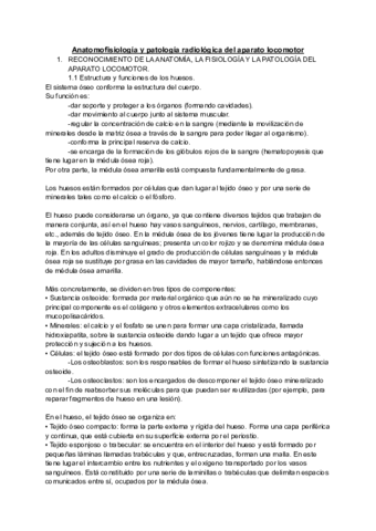 Resumen-anatomia-tema-2.pdf