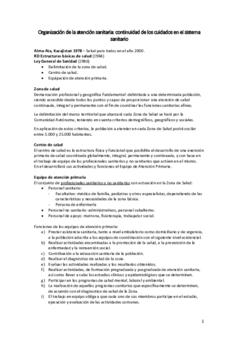 OrganizacionAS.pdf