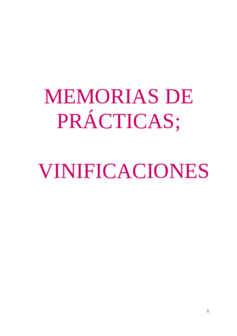 memoria vinificaciones.pdf