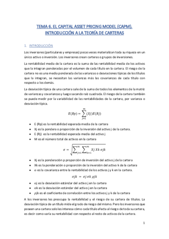 APUNTES-TEMA-6.pdf