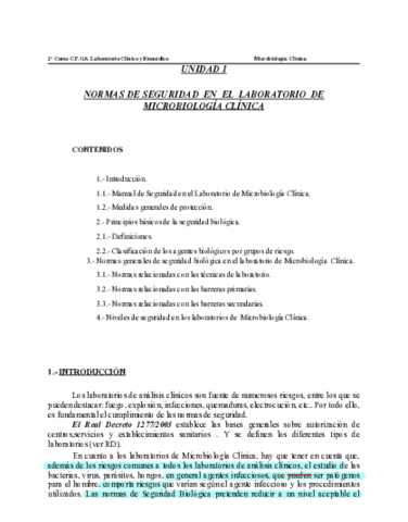 Normas-De-Seguridad-Micro.pdf