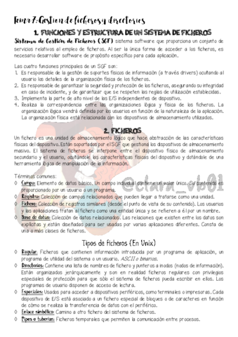 Tema-7-Gestion-de-ficheros-y-directorios.pdf