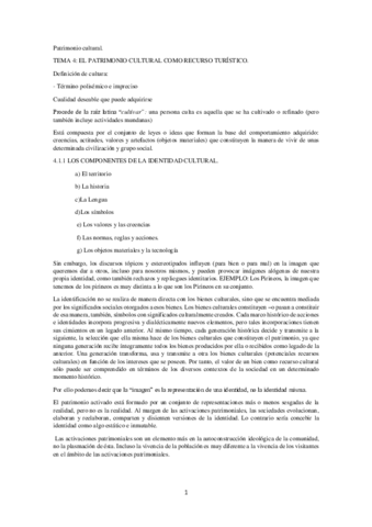 Patrimonio-tema-4.pdf