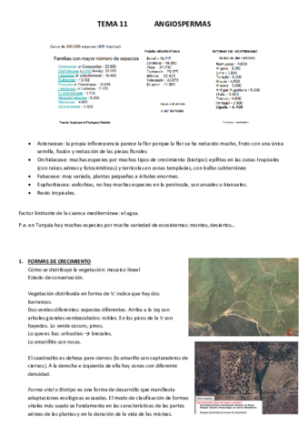 TEMA-11.pdf