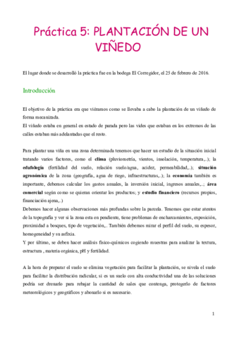 PRACTICA 5_Laura.pdf