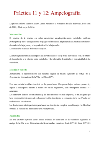 practica 11 y 12_laura.pdf