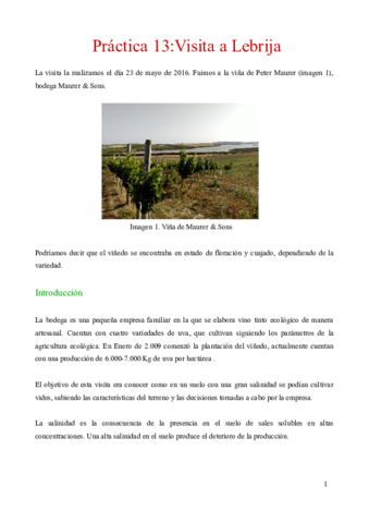 practica 13_Laura.pdf
