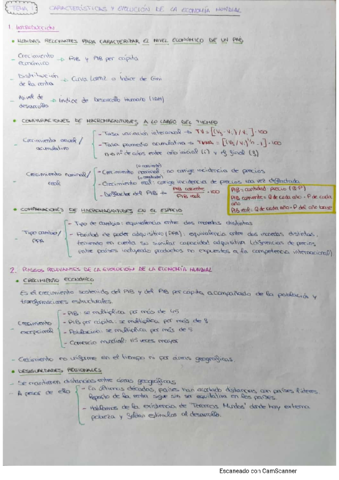 Tema-1-Economia-Mundial.pdf