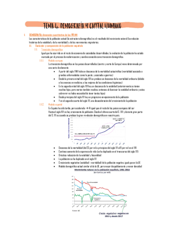 Teoria-segundo-parcial.pdf