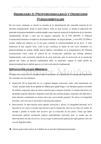 Seminario-3-Proporcionalidad-y-Derechos-Fundamentales.pdf