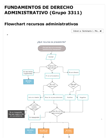 Seminario-1-extra-Flowchart-recursos-administrativos.pdf