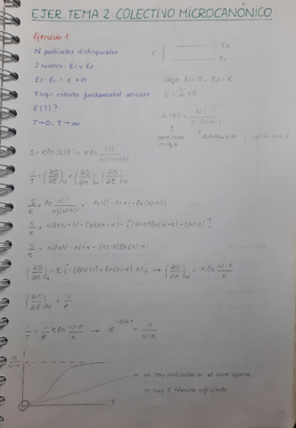 Ejercicios-resueltos-colectivo-microcanonico.pdf