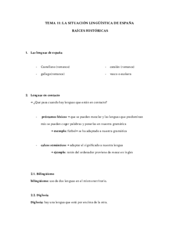 TEMA-11-LA-SITUACION-LINGUISTICA-DE-ESPANA.pdf