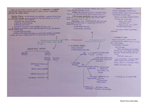 Temas-1-al-4.pdf