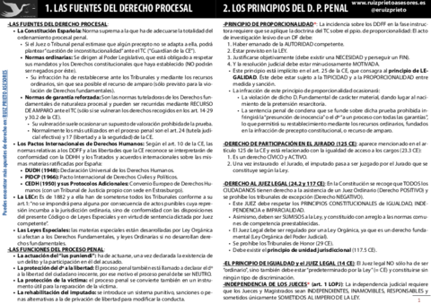 apuntes-procesal-penal-9.pdf