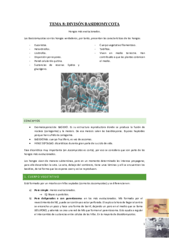 Tema-8-Basidiomycota.pdf