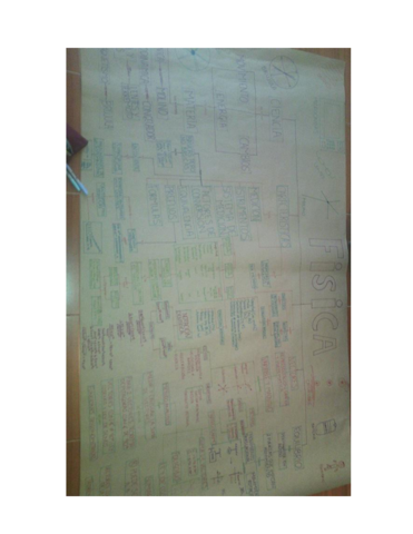 FISICA-MAPA-CONSEPPTUAL.pdf