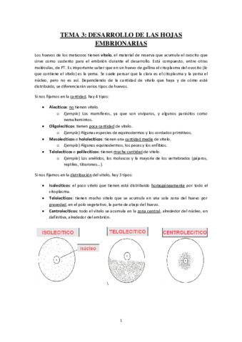 Tema-3-Desarrollo-de-las-hojas-embrionarias.pdf