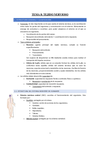 Tema-8-Tejido-nervioso.pdf
