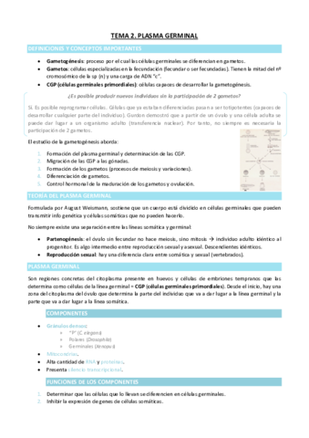 TEMA-2.pdf