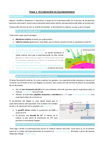 TEMA-5.pdf