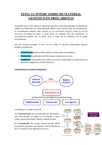 TEMA-11-INTERCAMBIO-DE-MATERIAL-GENETICO-EN-PROCARIOTAS.pdf