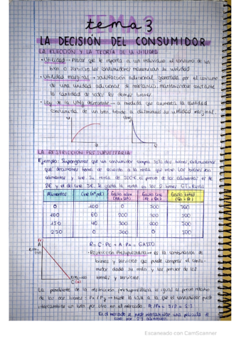 TEMA-6.pdf