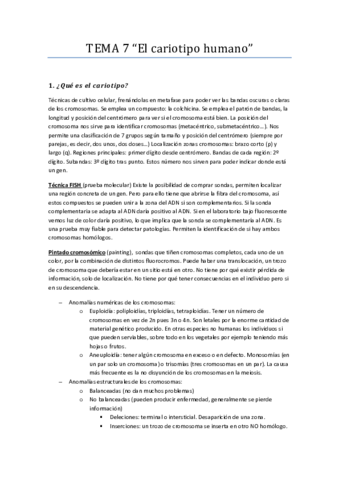 TEMA7.pdf