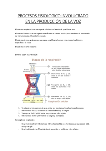 PROCESOS-FISIOLOGICO-INVOLUCRADO-EN-LA-PRODUCCION-DE-LA-VOZ.pdf