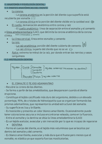 RESUMEN-UT-2.pdf