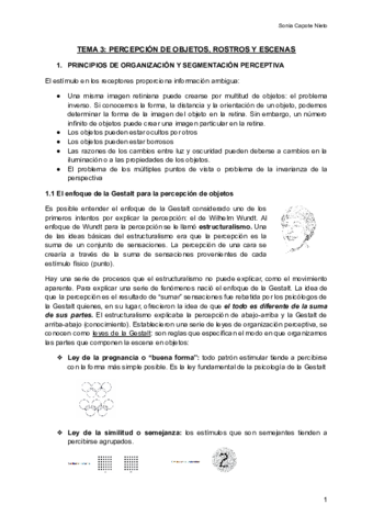 TEMA-3-PERCEPCION-DE-OBJETOS-ROSTROS-Y-ESCENAS.pdf