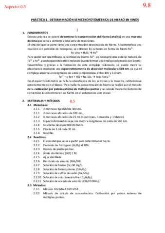 Practica-1-analisis-corregida-wuolah.pdf