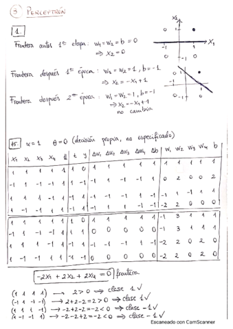 3-PerceptronSol.pdf