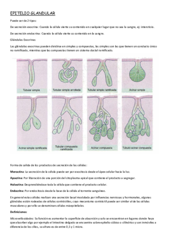 EPITELIO-GLANDULAR.pdf