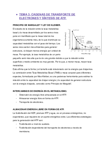 TEMA-3-BQ-II.pdf